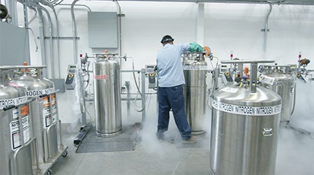 WestaIr Gases Liquid Fill In Action